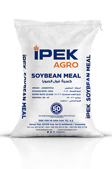 ARJANTİN SOYA FASÜLYESİ KÜSPESİ